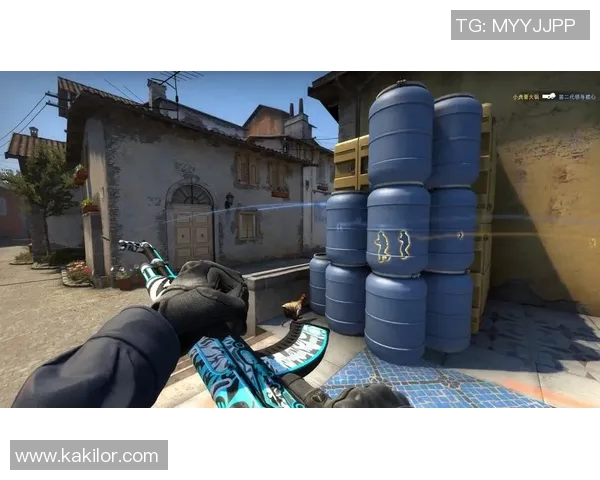 李芳的CSGO人生探索与成长之路深度对话分享 李芳的CSGO人生探索与成长之路深度对话分享