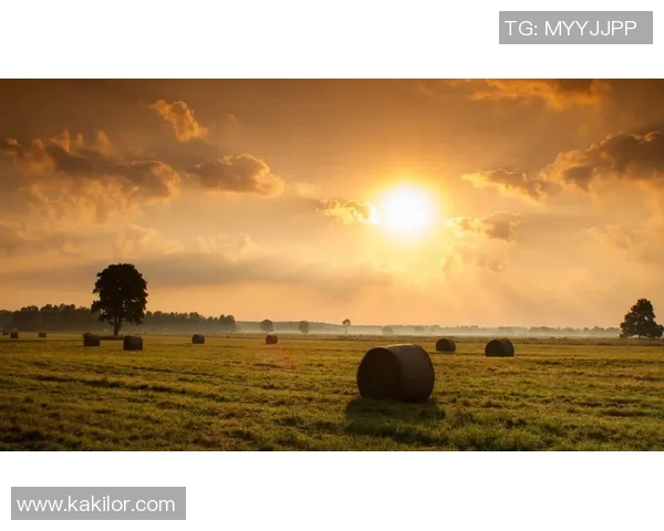 班得瑞与乌林济之星的音乐之旅谁将引领心灵的共鸣与感动