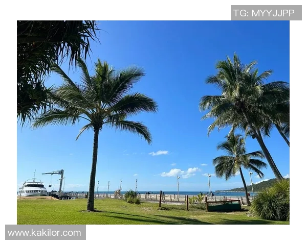 阳光海岸与布里斯班的魅力对比探索：哪个更适合你的理想生活方式