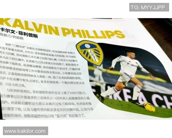 佩德里：年轻天才在绿茵场上的崛起与未来展望