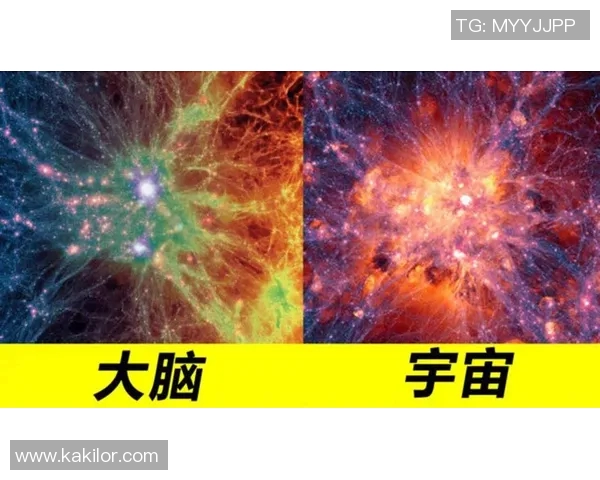 自由与神秘人直播的碰撞探讨与思考之旅