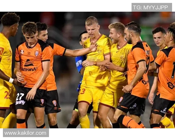 西悉尼与惠灵顿激战正酣比分揭晓引发球迷热议