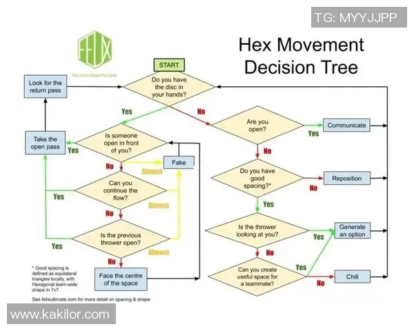 南京飞盘队意识表现的数据分析与战术提升研究 南京飞盘队意识表现的数据分析与战术提升研究