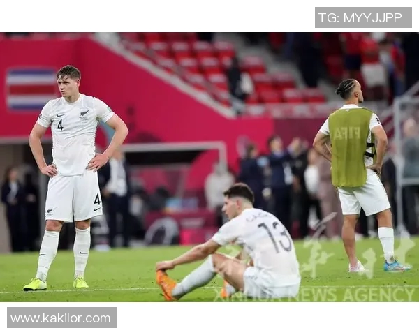 新西兰与北爱尔兰足球对决精彩回顾与赛后分析 新西兰与北爱尔兰足球对决精彩回顾与赛后分析