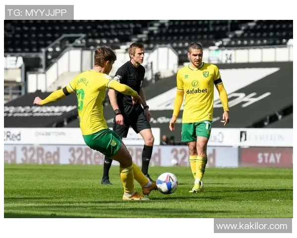 诺维奇对曼城精彩直播全程回顾与赛后分析